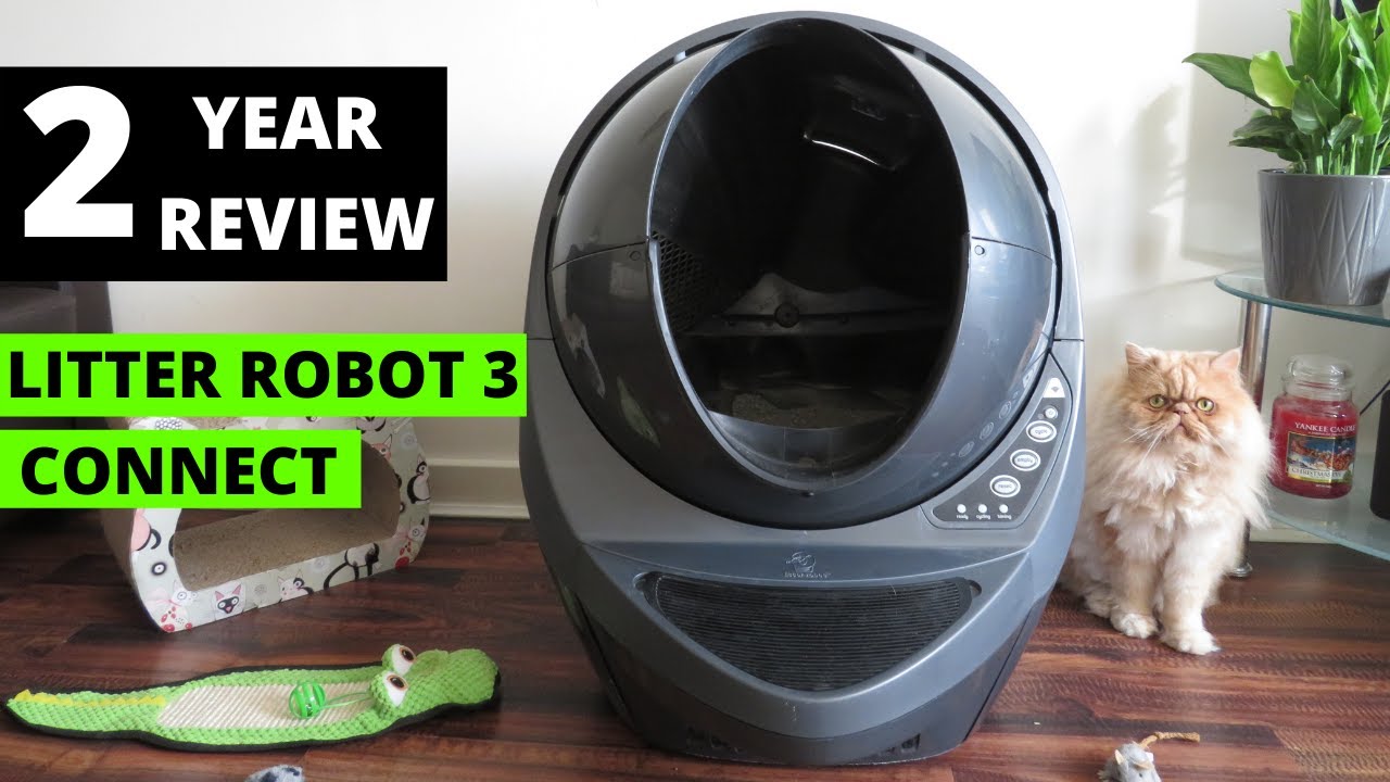 Litter Robot 3 Open Air Connect Honest 2 Year Review