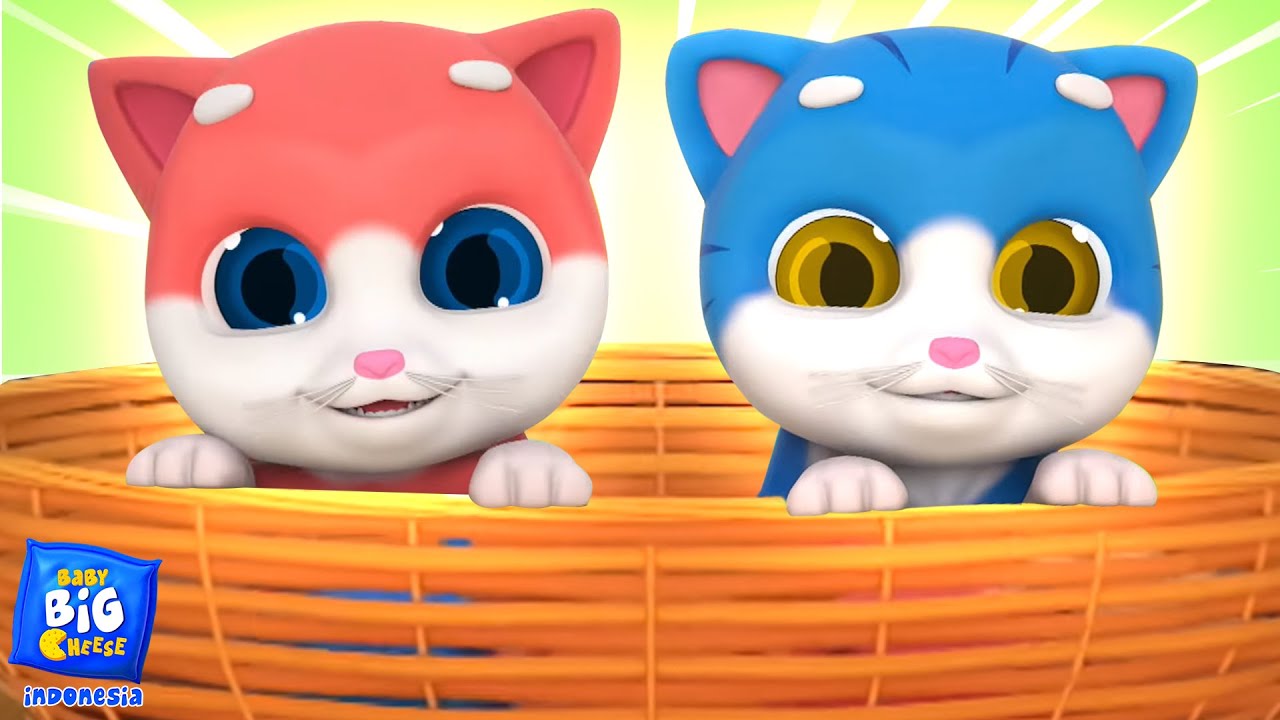 Lima Anak Kucing Kecil Lagu Berhitung  + Lainnya Video Edukasi Untuk Anak-Anak