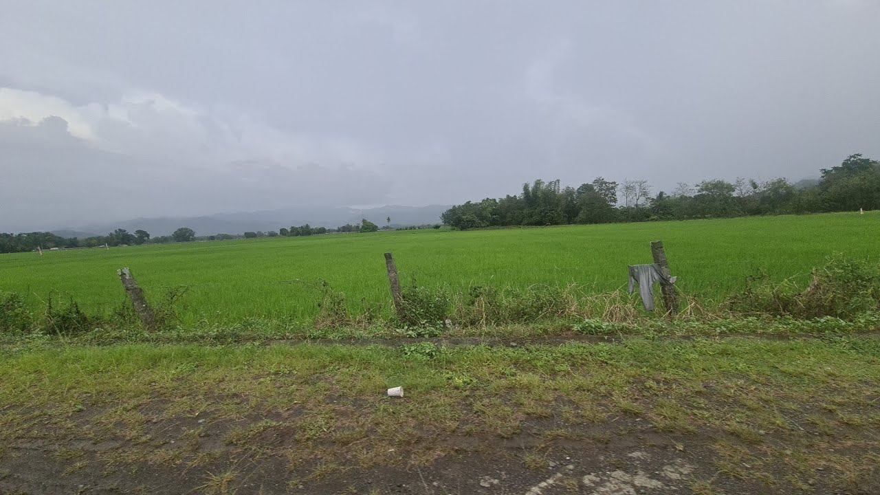 Ang ganda ng tanawin at fresh air pa #travel #explore #nature #roadtrip #satisfying #green #fyp 
