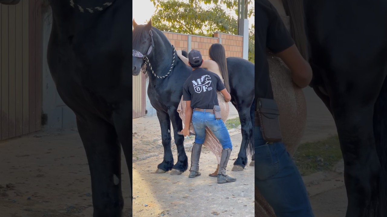 Subindo no cavalo de vestido #shortsyoutube #shortvideo #agro #agrogirl #cavalos #shortshorts