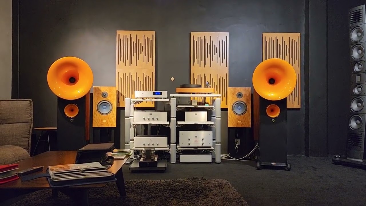 AudioNote Intergrated amp with new Avantgarde Acoustic DUO GT