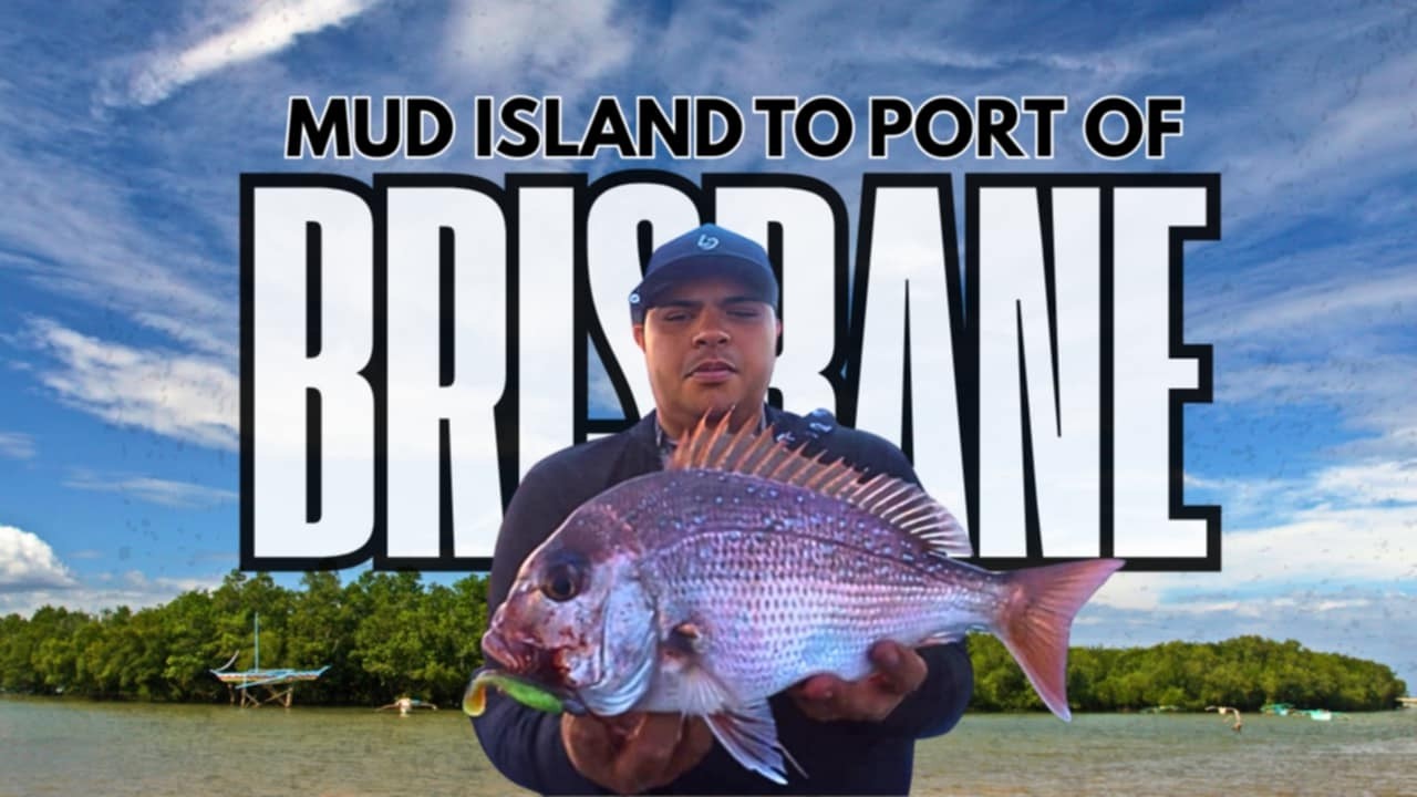 Brisbane River Fishing Adventure: From Mud Island to the Port