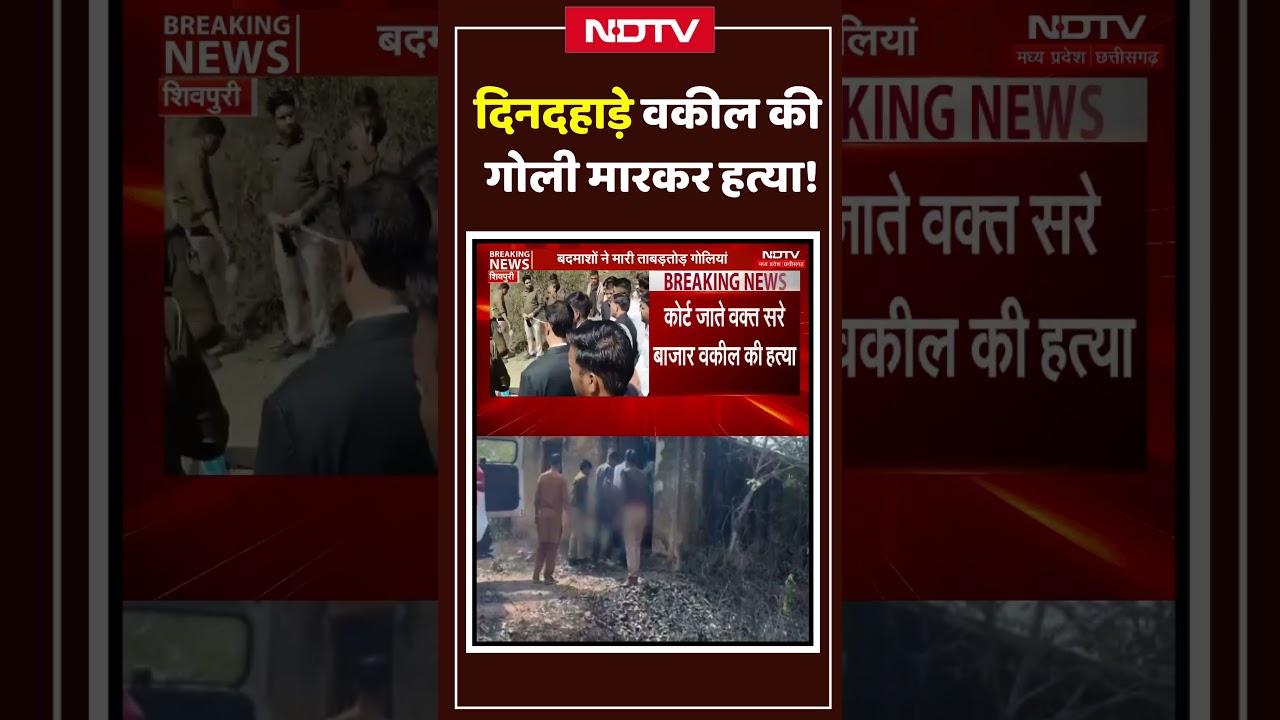 Shivpuri Murder Case: शिवपुरी में दिनदहाड़े वकील की गोली मारकर हत्या, फैली सनसनी #shorts #shortnews