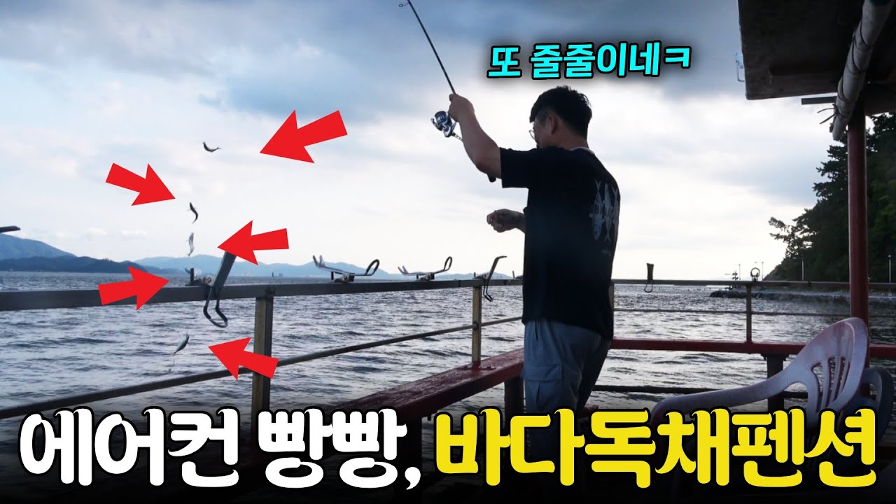 여름에 가기 딱 좋은 시원한 해상펜션(aka. 이제부터 시즌)