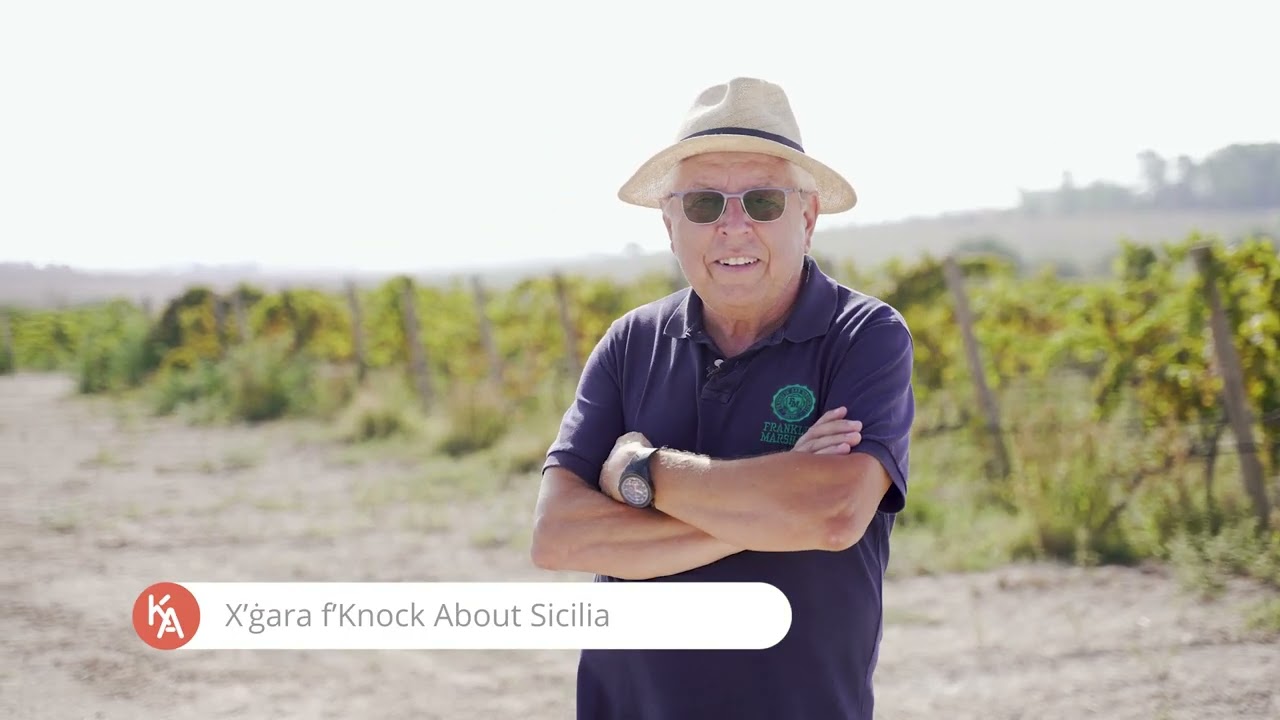Knock About Sicilia - Ramaddini vineyards and cellar