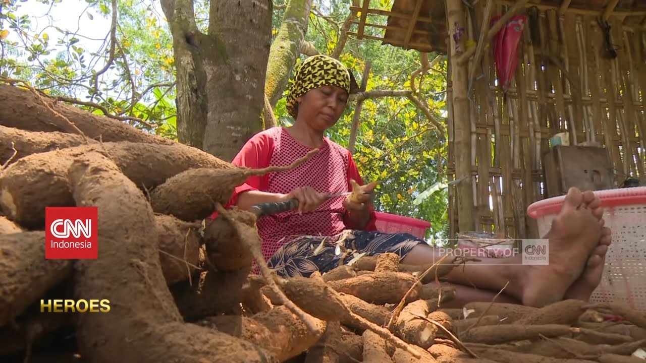 Pemberdaya Ekonomi Warga Melalui Singkong