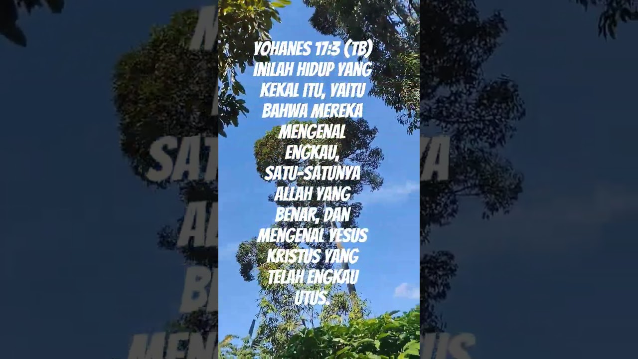 ayatAlkitab#music #motivasi #shortvideo #kurenungkanfirmanmu #storyrohanikristen #song #lagukristen