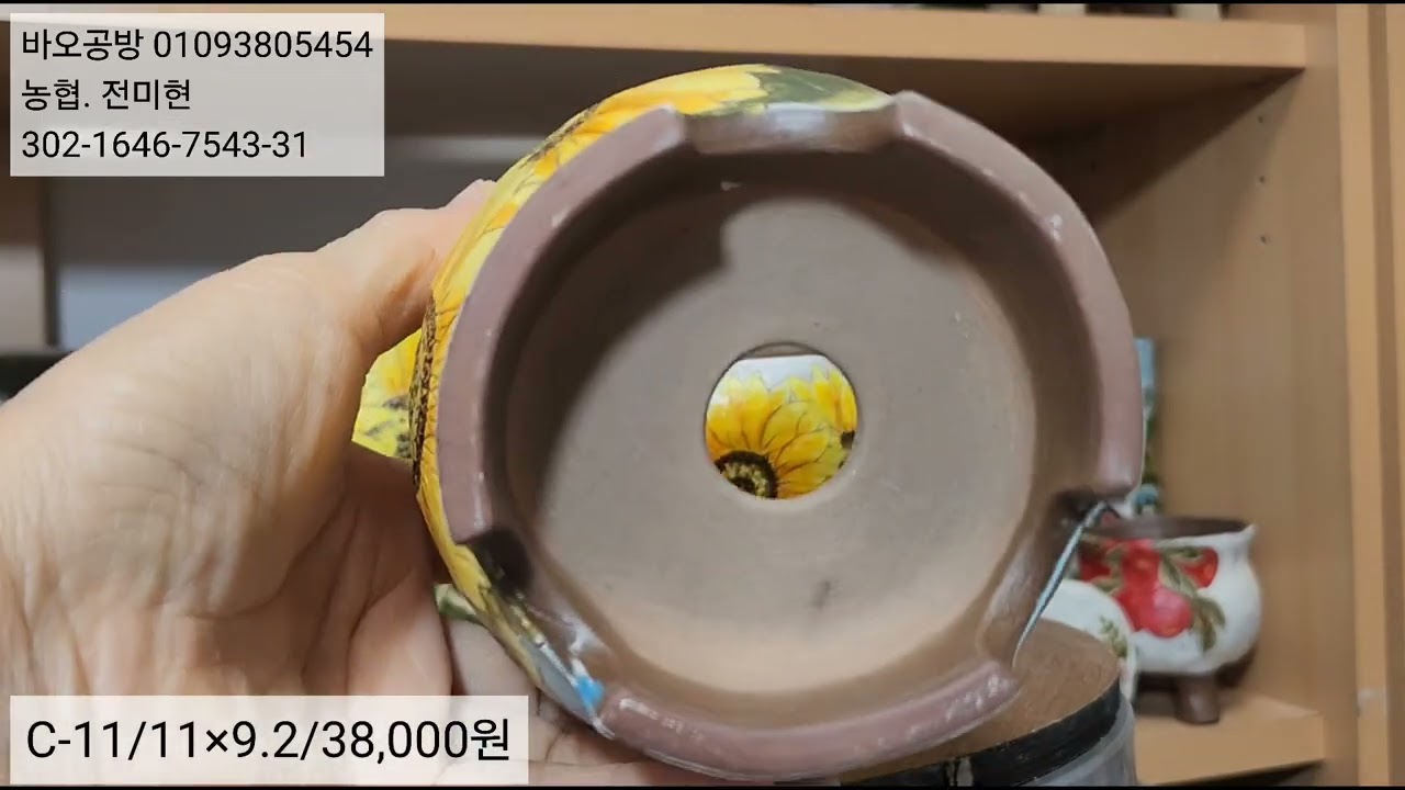 바오공방수제화분2501C영상#수제화분#다육화분#다육홀릭#미미다육맘#그림화분