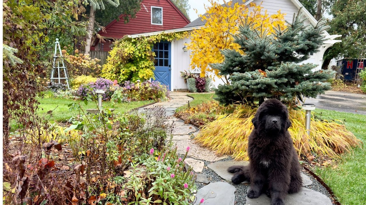 🍂 Stroll around the changing fall garden 🍂