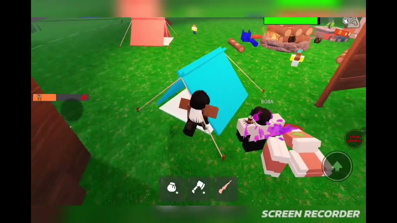 Playing 99 in forest whit hacker 