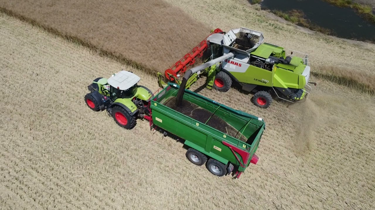 Żniwa 2024 agrifarm Śmiłowo