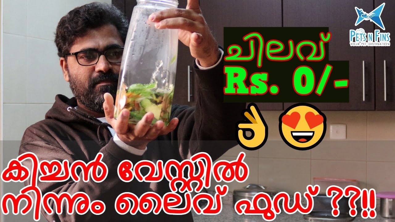 കിടിലൻ ലൈവ് ഫുഡ് അടുക്കള മാലിന്യത്തിൽ നിന്നും??!! 😱 || Preparing Live Food from Kitchen Waste??!! 😍💪