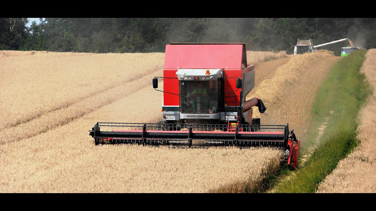 Zniwa 2014 Claas Lexion 750TT & Massey Ferguson 7278 (ORAGRO s.r.o) /HD/