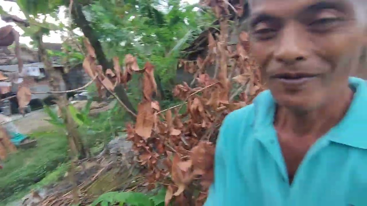 menu masak an kanggo buko sore iki mewah