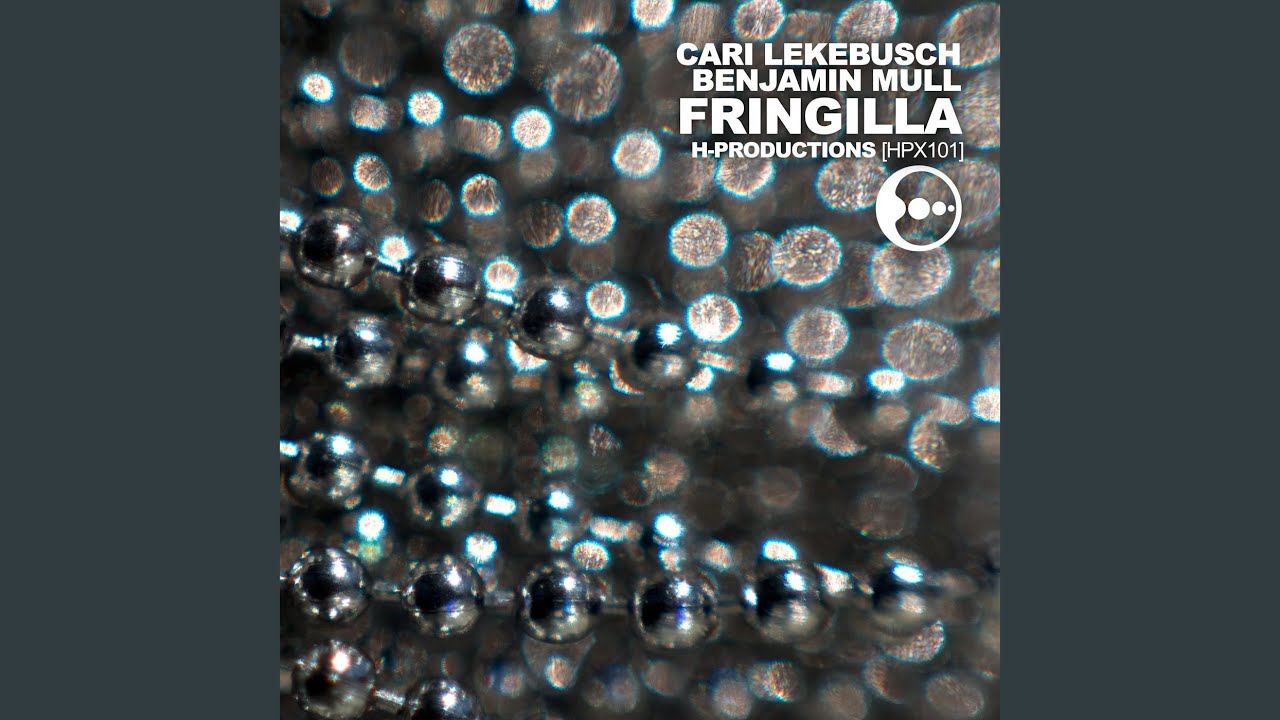 Fringilla