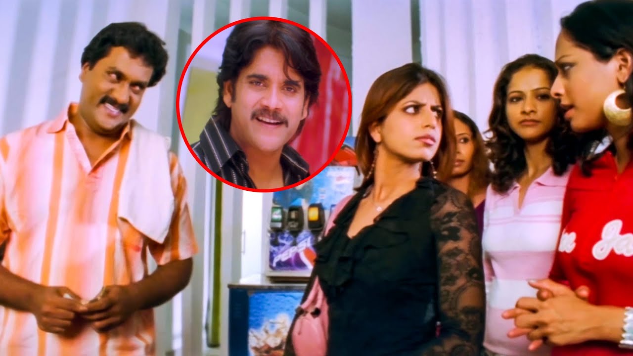 Sunil Vintage Comedy Scene | Boss Movie | Nagarjuna , Nayanatara | Volga Movie