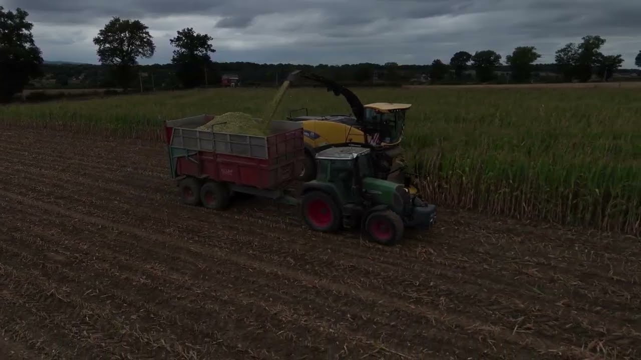 Ensilage de maïs 2025