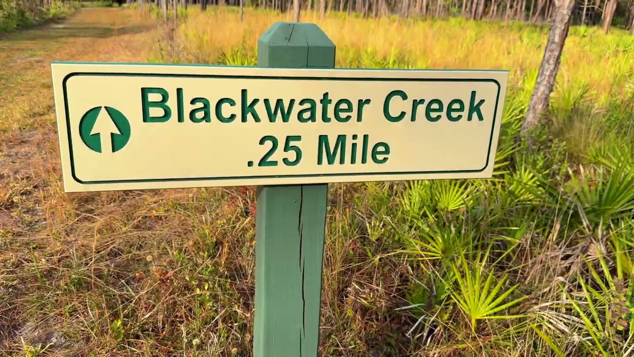 Blackwater Creek  Rewards