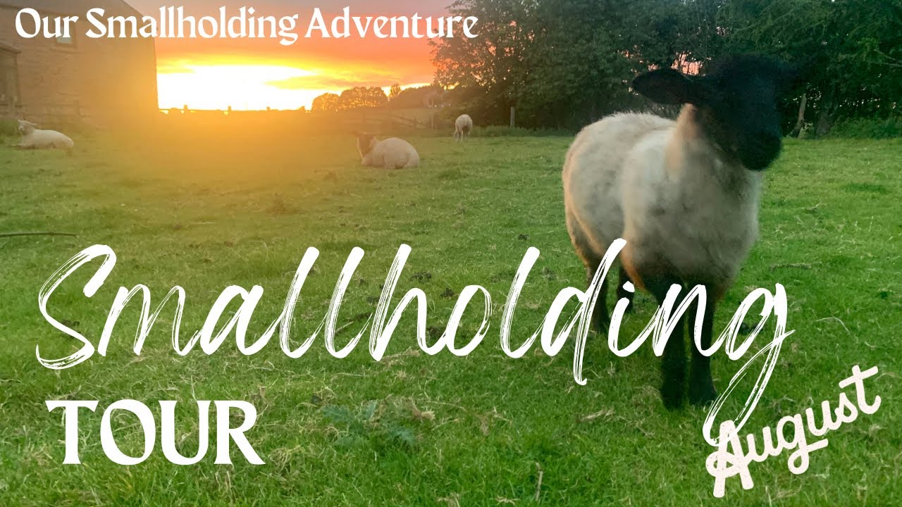Summer Farm Tour | A Smallholding in England
