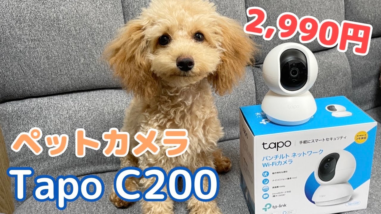 【コスパ最強】ペットカメラ　開封&レビュー（Tapo  C200）