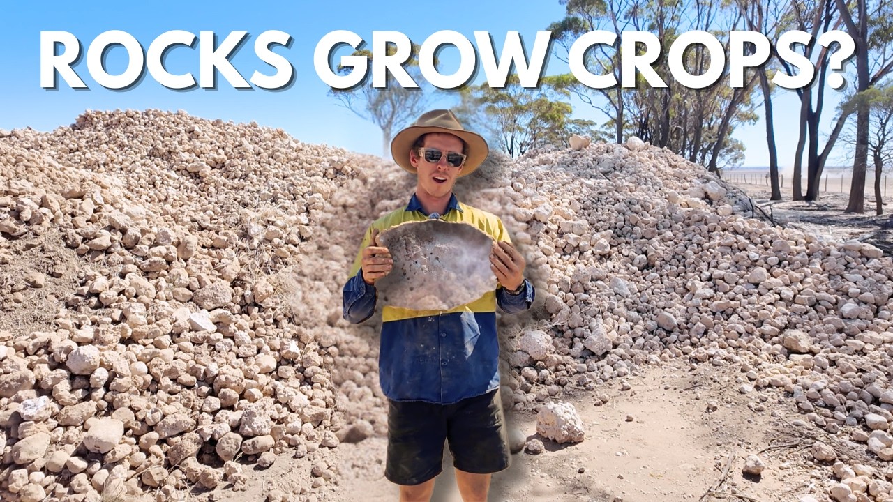 Massive Rock Problem Turned Into Soil Gold