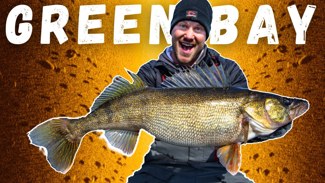 BIG Spring Walleye Fishing on Green Bay - FIND & CATCH Walleyes W/ Side Imaging and Livescope (FFS)