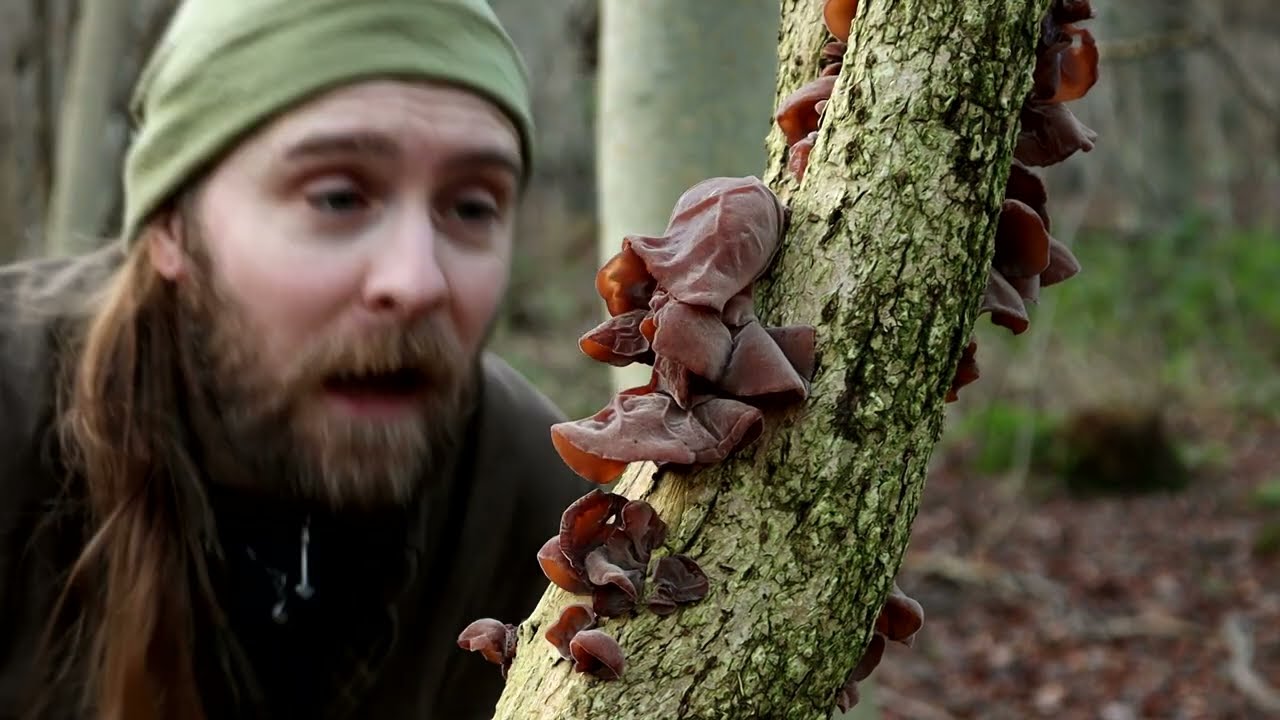 Bushcraft overnight camp in a new woodland permission
