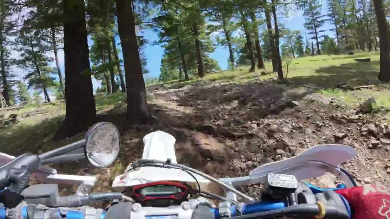 Cloudcroft 16 Springs fireroads Osmo 5 test  July 2025 1