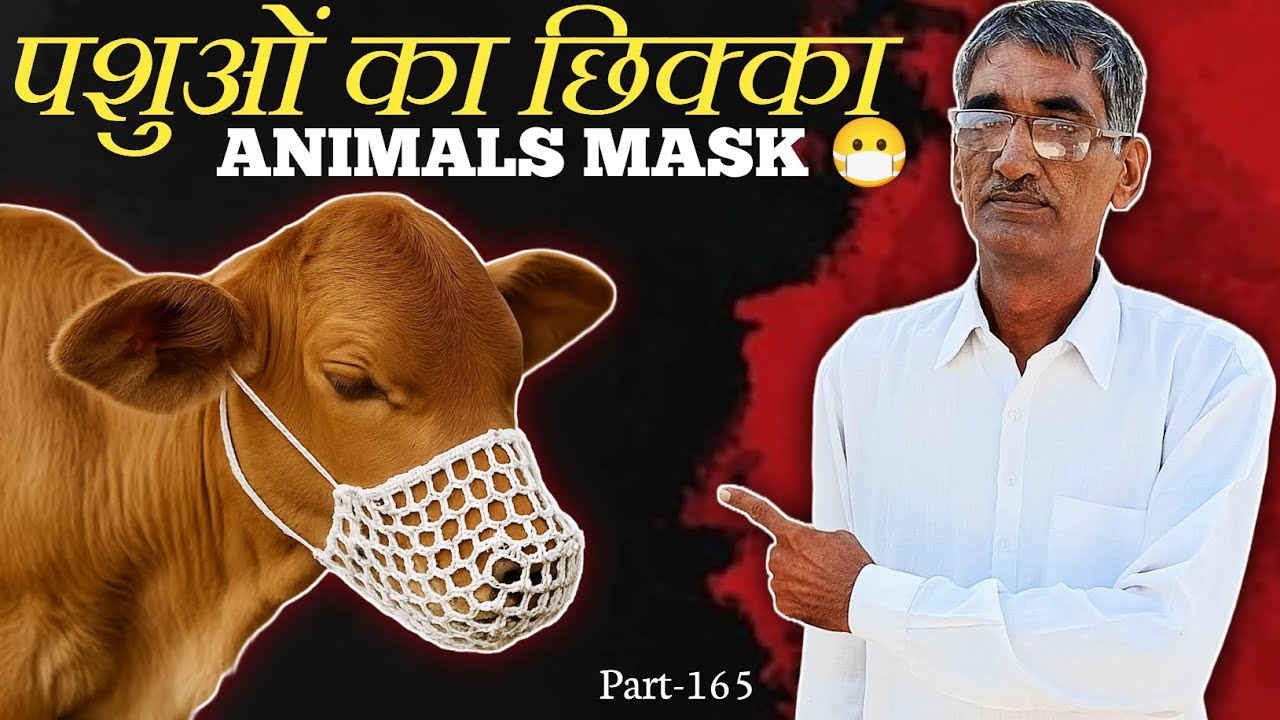 How to Make Animal Mask | गाय-भैंस के लिए सुंदर छिक्का बनाएं – आसान तरीका! (Part-165)