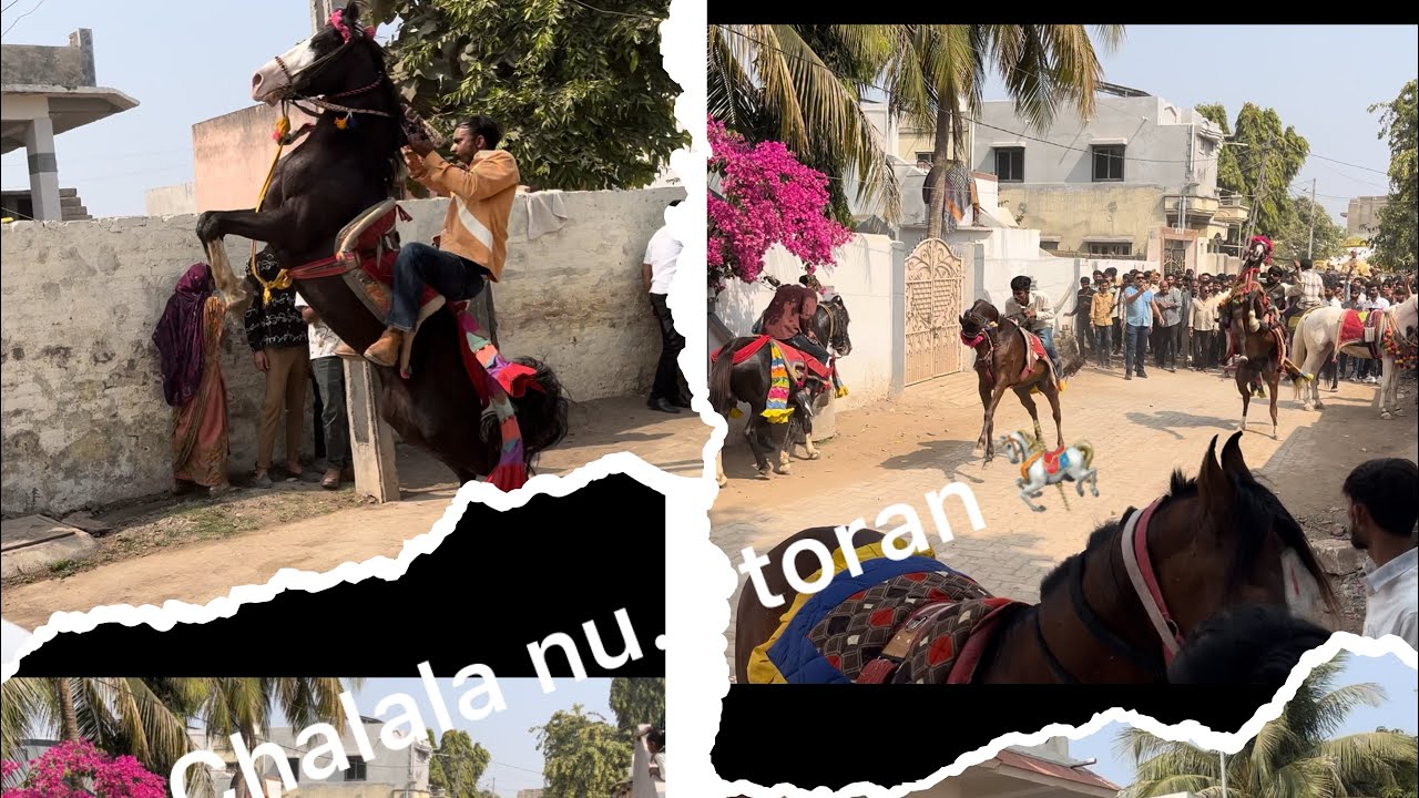 Chalala gamnu toran 🎠 ghoda ni ramjat #fuleku #kathiyawadi #vlog #youtuber 