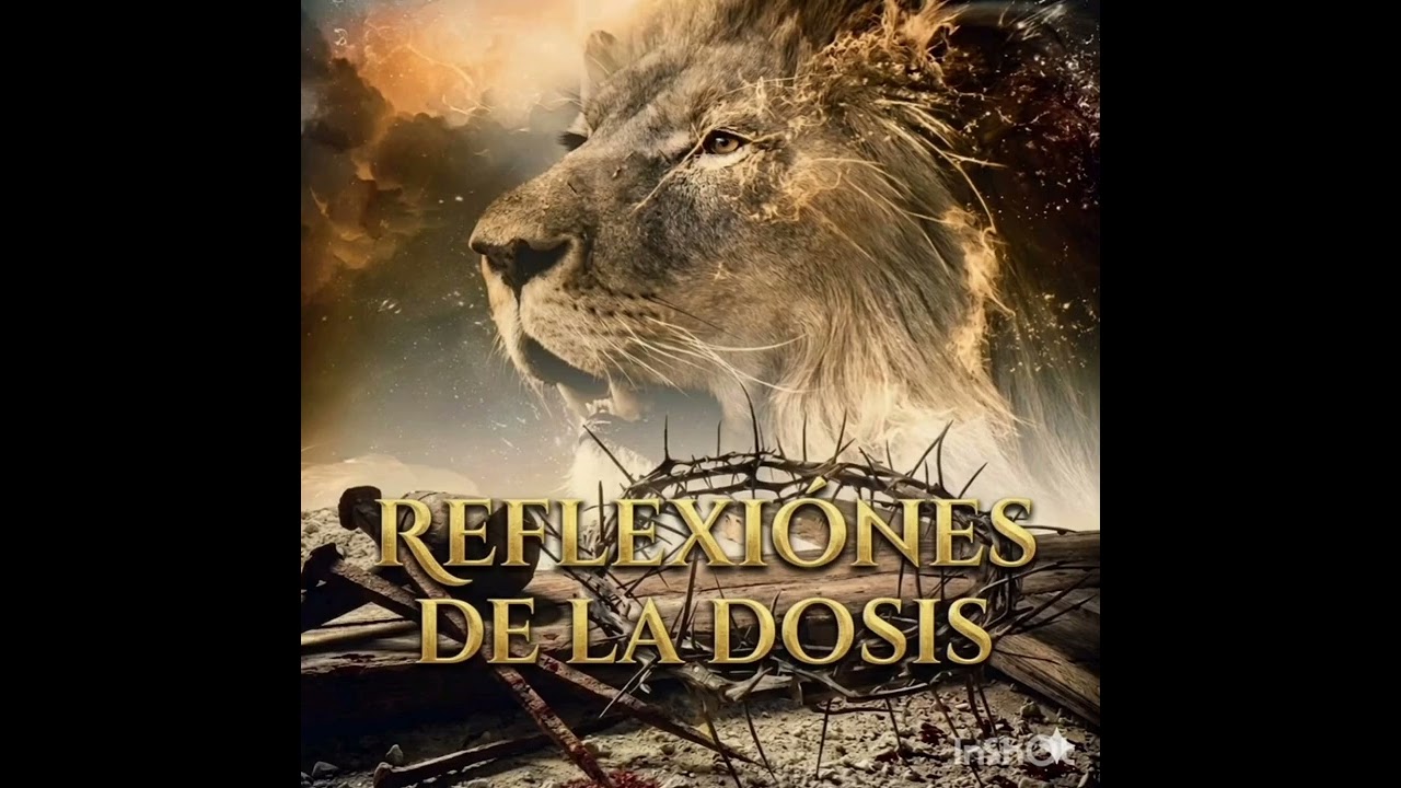 Reflexiones de la Dosis - El día 365
