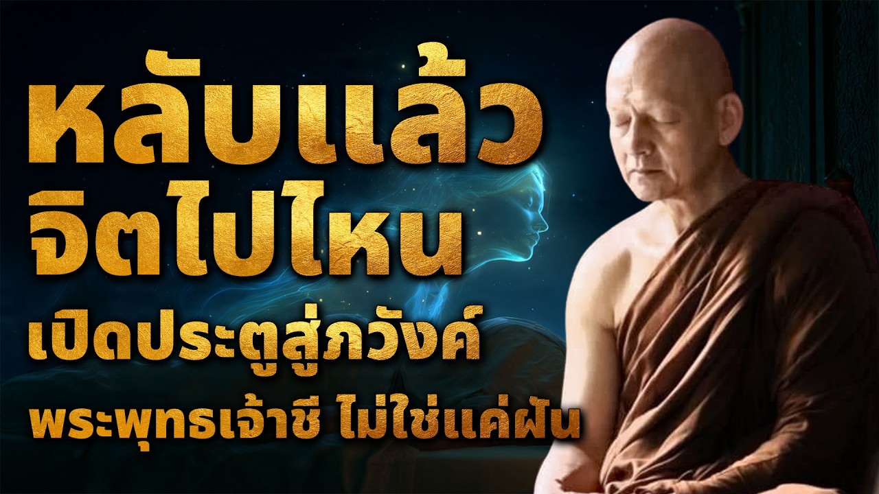 หลับแล้วจิตไปไหน เปิดประตูสู่ภวังค์ พระพุทธเจ้าชี้สภาวะจิตที่ไม่ใช่แค่ฝัน | ชีวิตติดธรรม #พุทธวจน