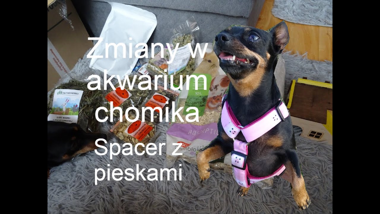 Unboxing paczki dla chomika z Pupilo🐹