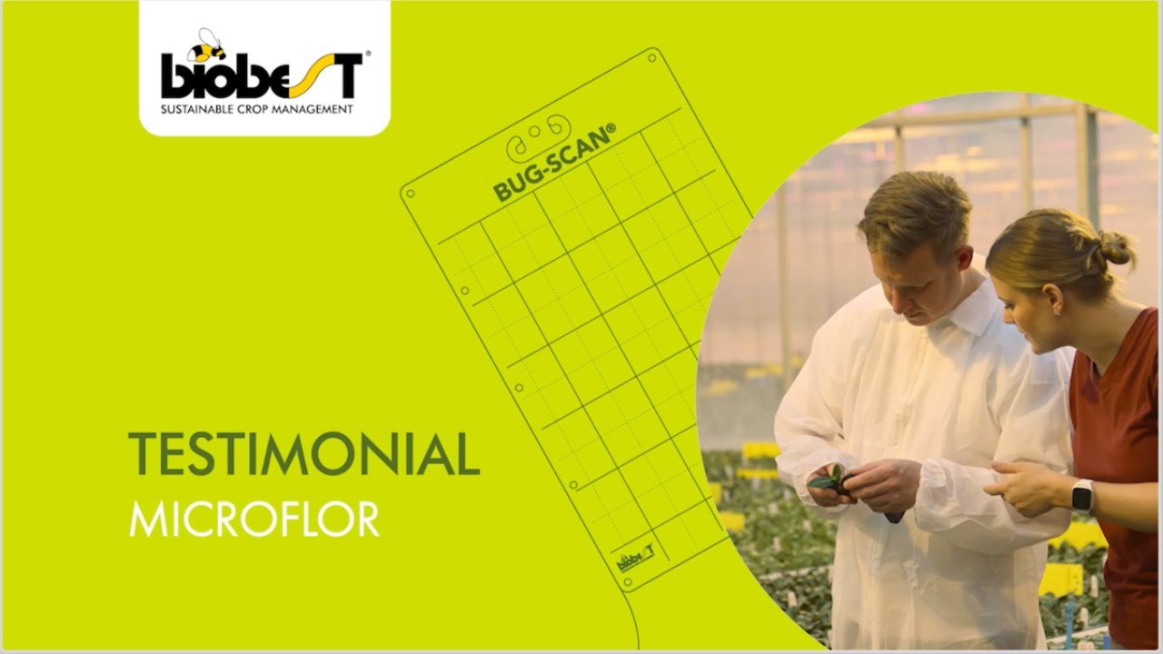 Collaboration between Biobest and Microflor