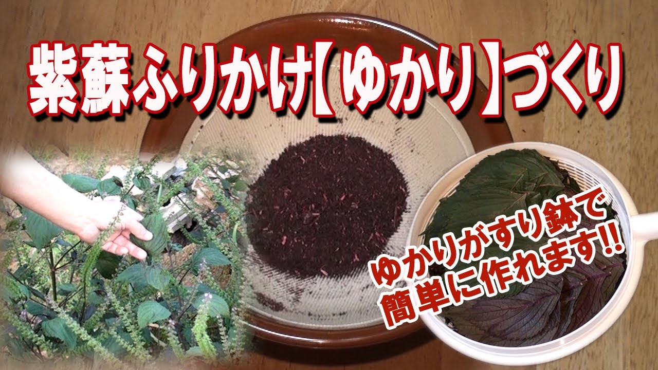 簡単!!紫蘇ふりかけ「ゆかり」づくり