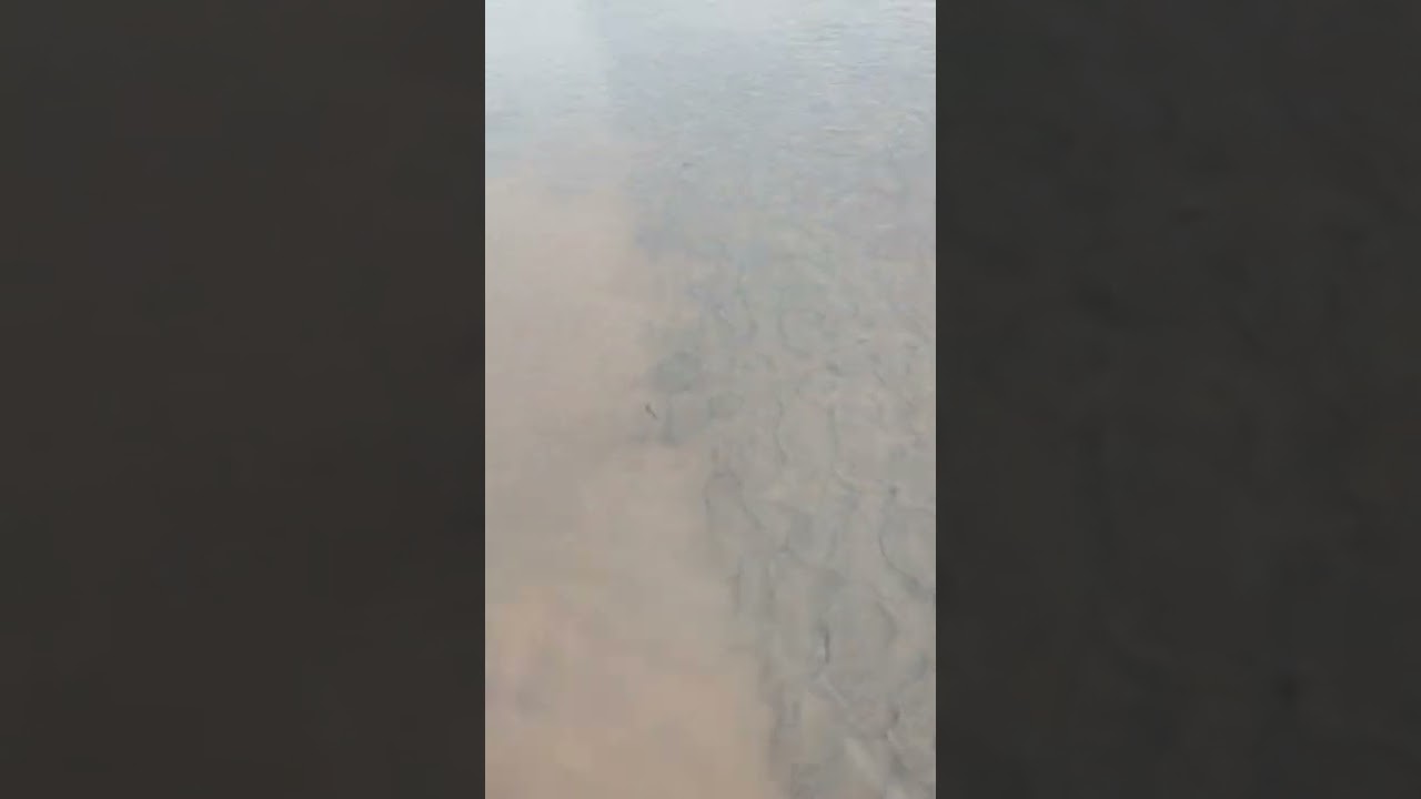 Natural Beauty of Pakistan | Nala Banha|Jhelum Punjab Pakistan