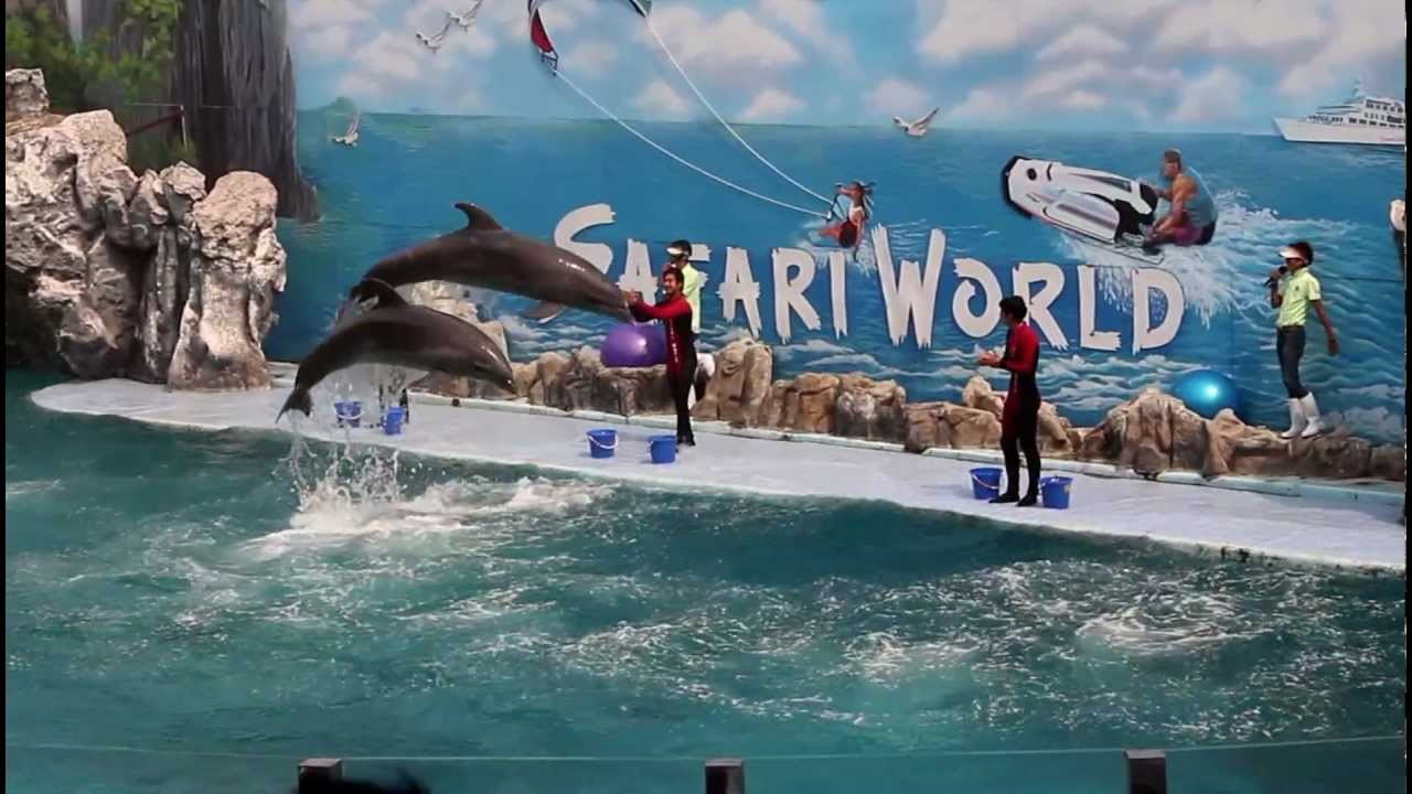 โชว์โลมา@SafariWorld(Part 2)