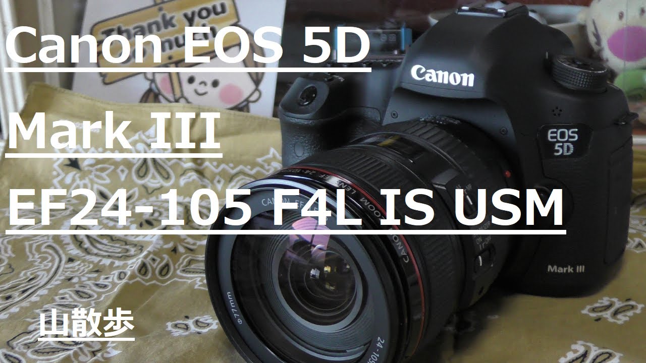 5D Mark IIIと標準ズームレンズ EF24-105mm F4L IS USMで撮影