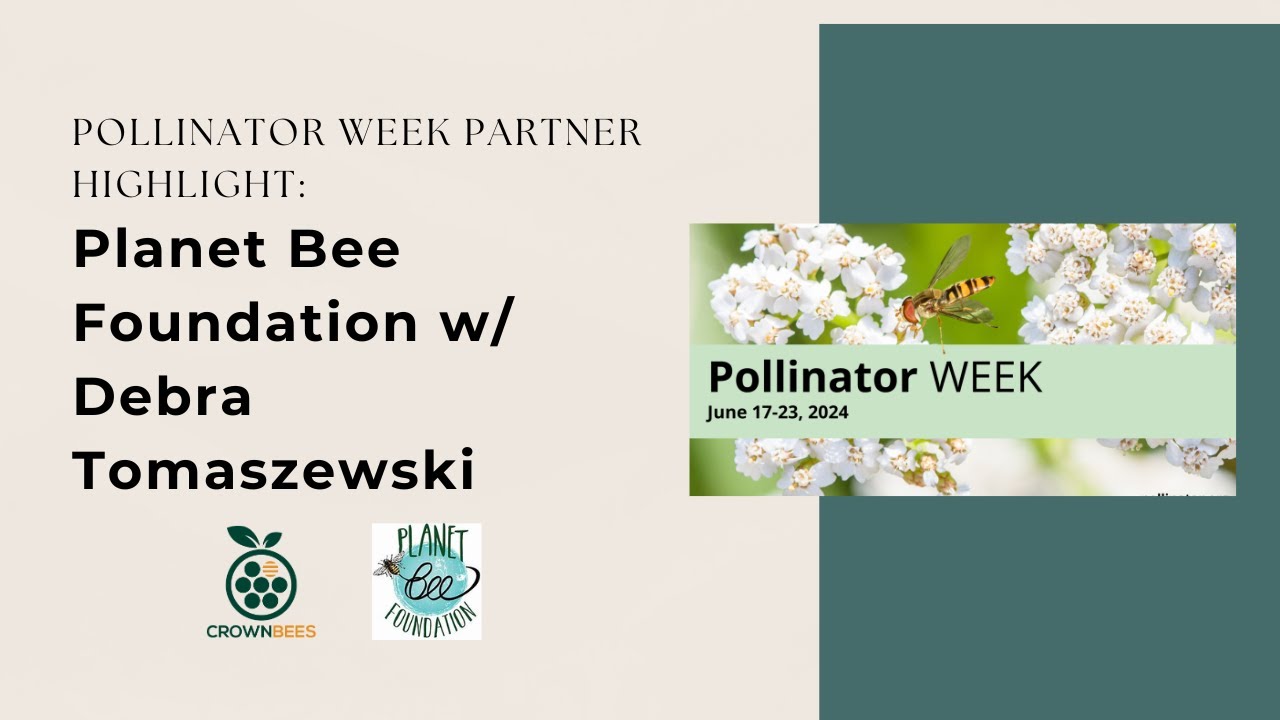 Partner Highlight: Planet Bee Foundation w/ Debra Tomaszewski | #PollinatorWeek 2024