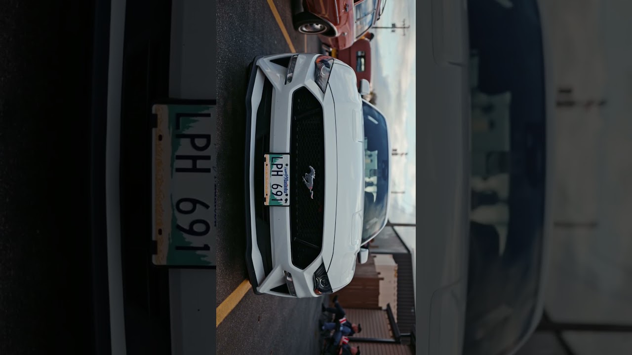 Гордый владелец 5.0 Mustang