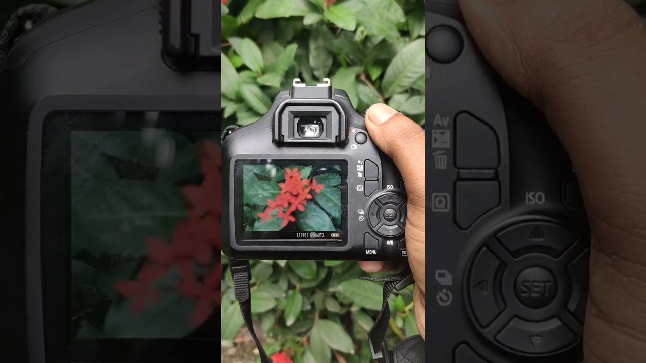 Canon EOS 3000D Portrait Photography Test With Prime Lense #canondslr