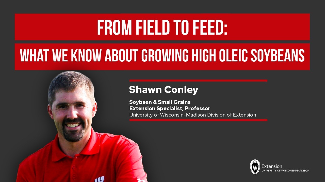 From Field to Feed: What We Know about Growing High Oleic Soybeans
