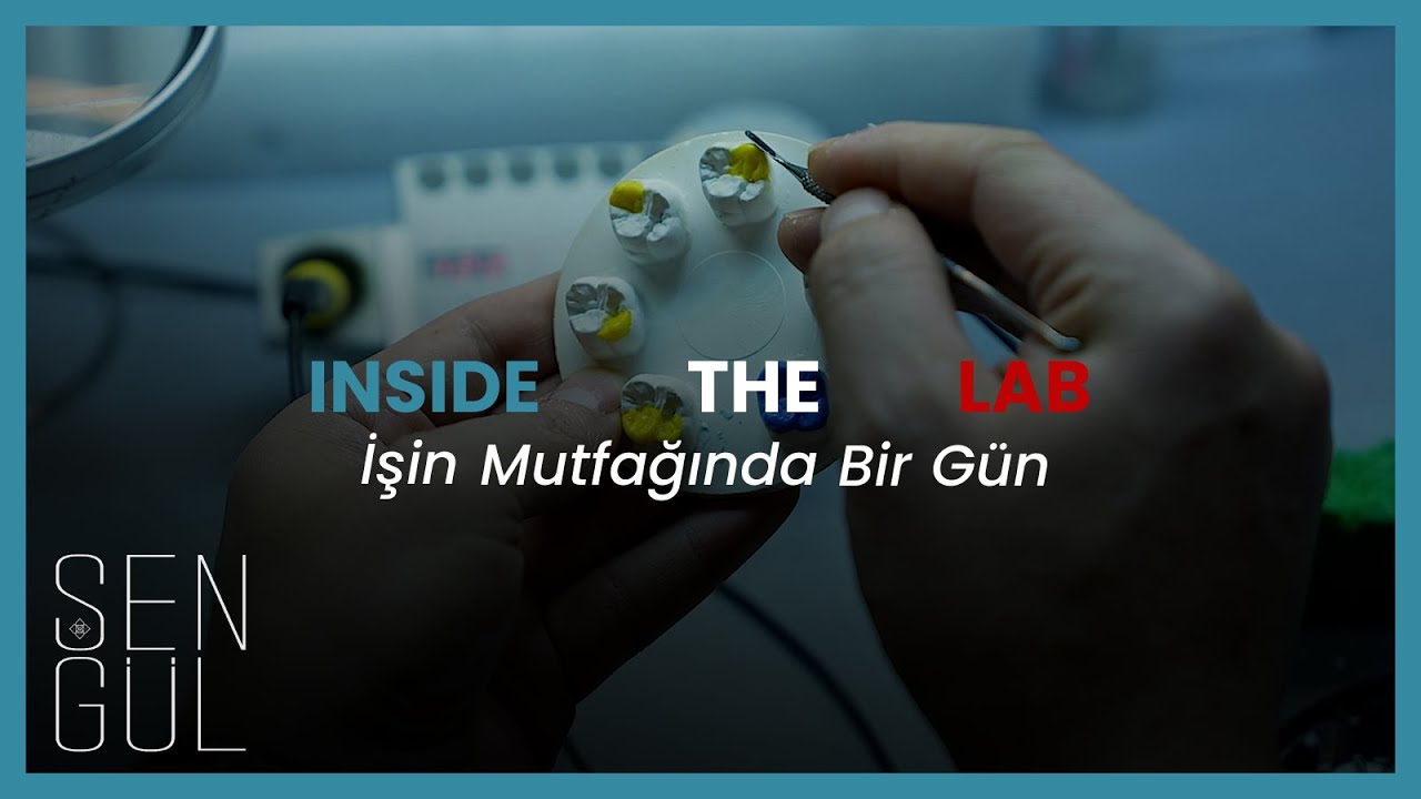 Diş Anatomisi ve Morfoloji: Kasp, Marjin, Triangular Sırt | İşin Mutfağında Bir Gün