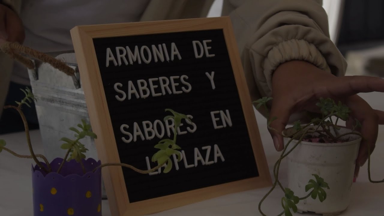 ARMONIA DE SABERES Y SABORES EN LA PLAZA - MODO HERVIR (VIDEO OFICIAL)
