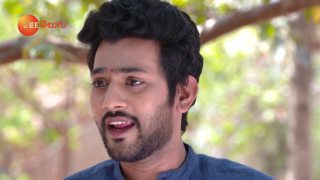 Rama Sakkani Seeta - రామ సక్కని సీత - Telugu Serial - EP - 192 - Nanda Kishore - Zee Telugu
