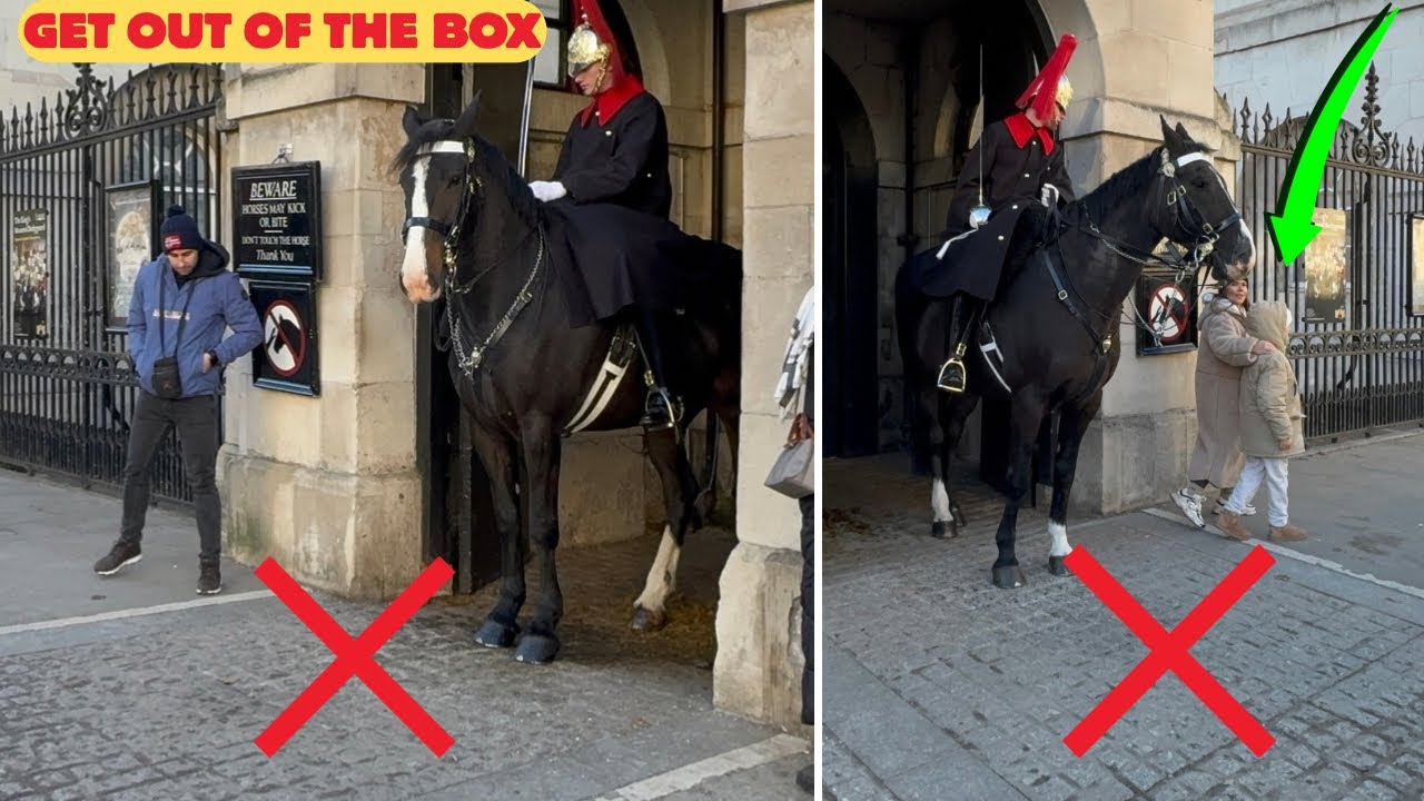  AUTHORITY! King’s Guards Start the New Year Loud and Clear