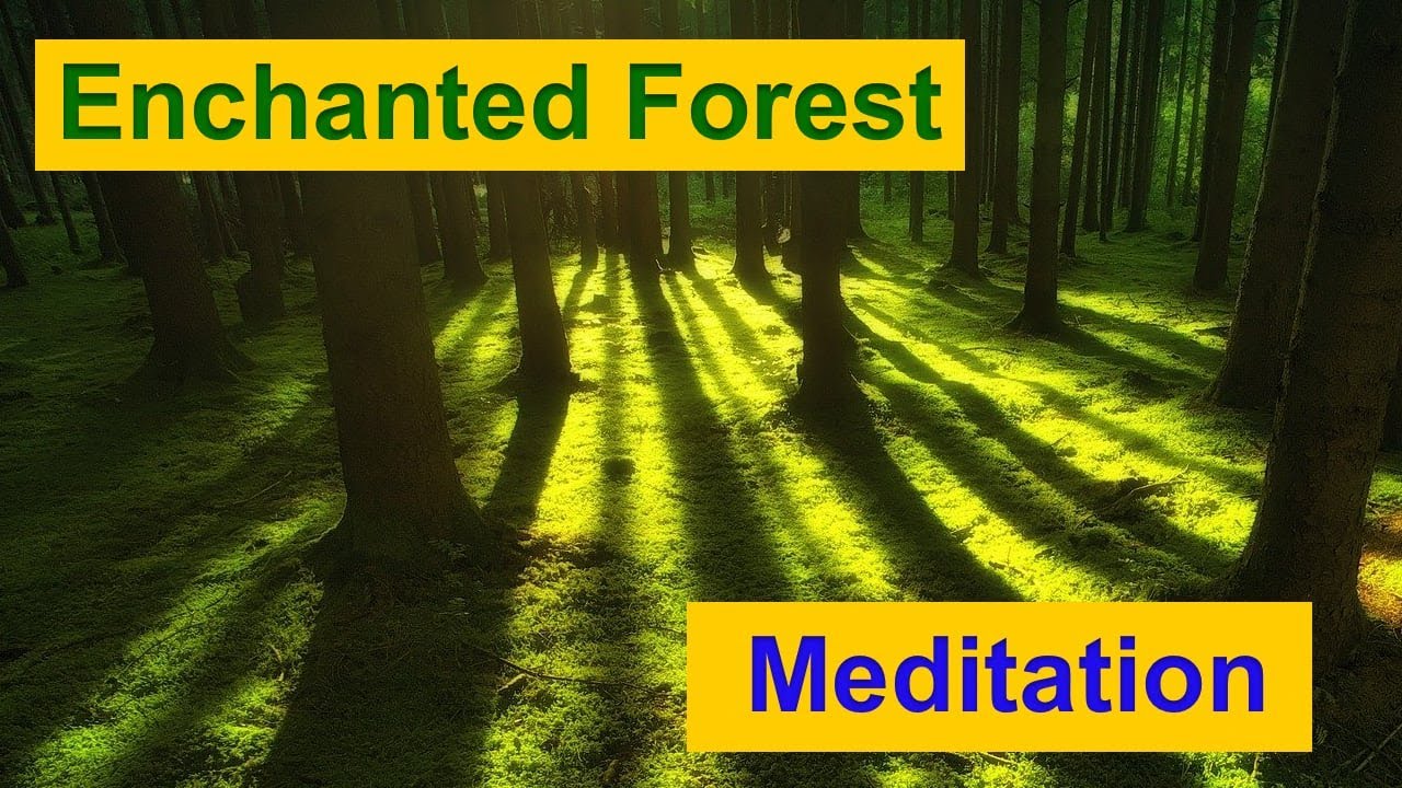 Guided Meditation Your Journey to  The Enchanted Forest.