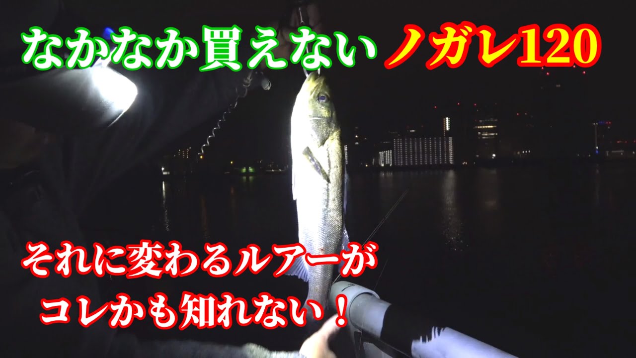 【シーバス】ノガレにこだわらなくてもコレでいけるかも？東京湾奥クルバチパターン！