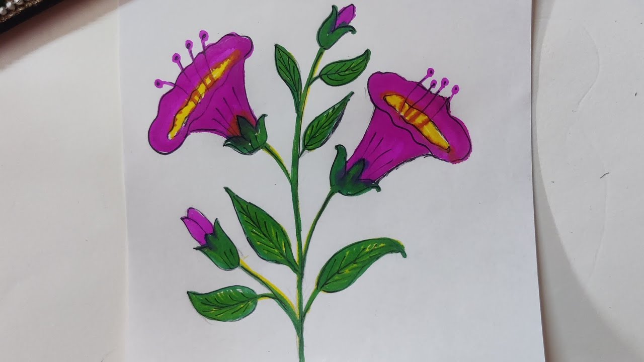 How to colour flowers drawing #easy to colour floral drawing #easy drawing tutorial videos.