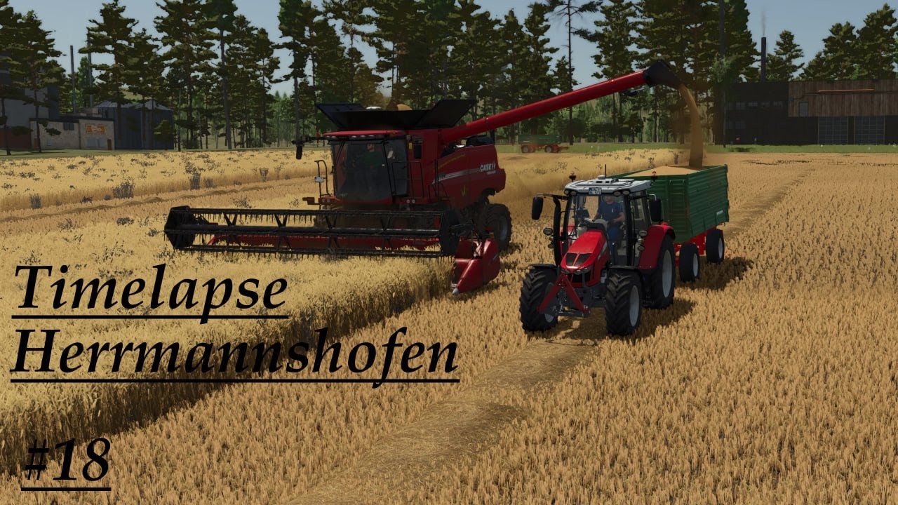 LS25 Timelapse Herrmannshofen #18 Weizen abfahren mit dem Massey Ferguson 5711S